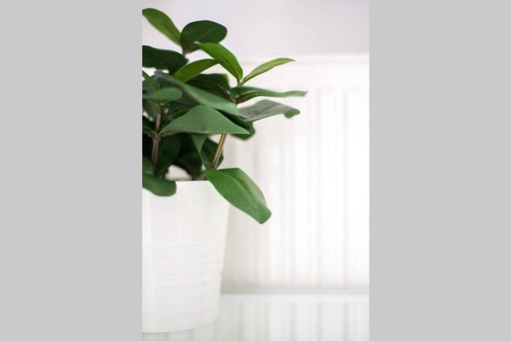Your Cozy Downtown Home - Apartment Larissa Exterior foto